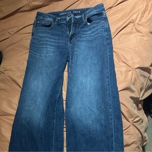 American Eagle low rise baggy wide leg jeans
